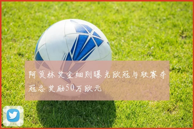阿莫林奖金细则曝光欧冠与联赛夺冠各奖励50万欧元